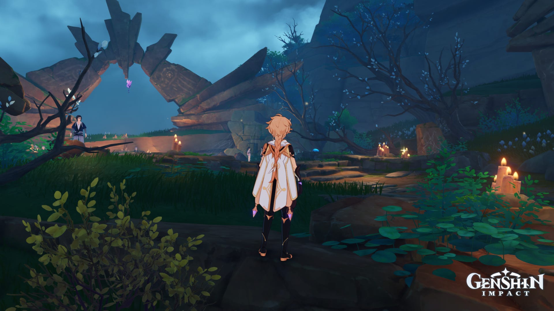 Genshin Impact a Particularly Particular Author and Shirikoro Peak